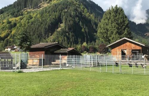 Bichlbach Apartment | Ferienwohnung Pony Ziegen Hasen Ranch In Bichlbach