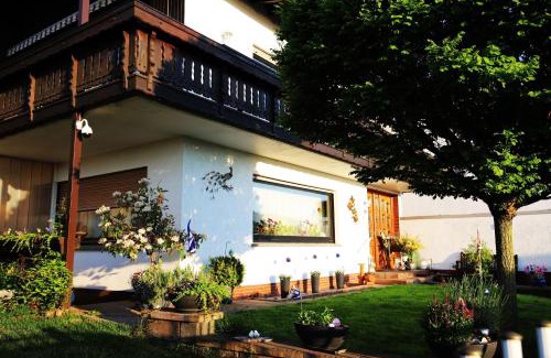 Mainz-Bingen Apartment | Ferienwohnung Rheinblick