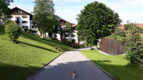 Missen-Wilhams Apartment | Ferienwohnung Ritter