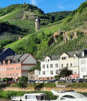Zell Apartment | Ferienwohnung Roter Riesling