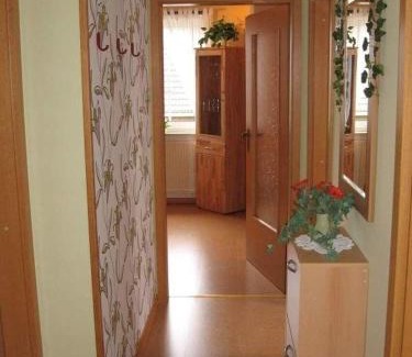 Oevenum Apartment | Ferienwohnung-Roock