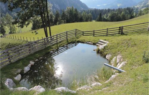Pichl-Preunegg Apartment | Ferienwohnung - Schladming