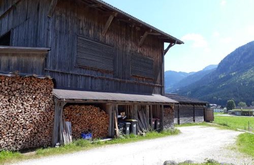 Gosau Apartment | Ferienwohnung Schmiedbauer