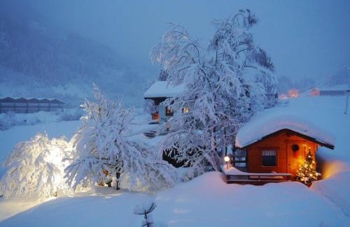 Flachau Apartment | Ferienwohnung Schnell