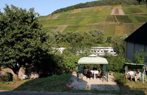 Reil Apartment | Ferienwohnung „Schwalbennest“ Reil/Mosel