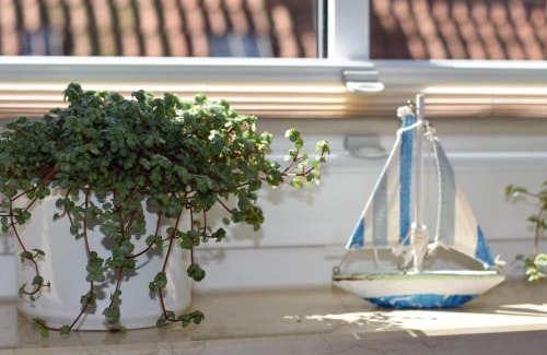 Grube Apartment | Ferienwohnung-Sonnenblume