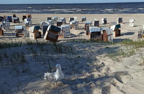 Trassenheide Apartment | Ferienwohnung Strand25