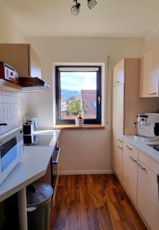 Bad Lauterberg Apartment | Ferienwohnung Talblick