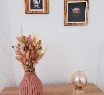 Todtmoos Apartment | Ferienwohnung Waldblick