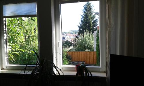 Eisenach Apartment | Ferienwohnung Wartburgstieg