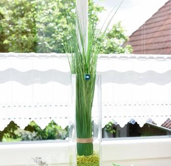 Carolinensiel Apartment | Ferienwohnung Watt und Weite