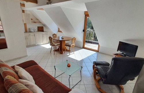 Schonau Apartment | Ferienwohnung Wegelnburg - Ferienhaus Herberger