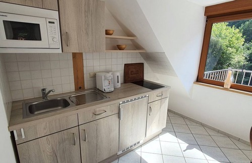 Schonau Apartment | Ferienwohnung Wegelnburg - Ferienhaus Herberger