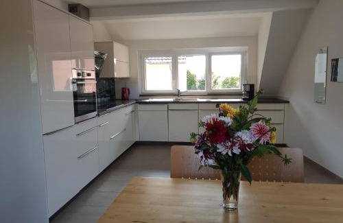 Hach Apartment | Ferienwohnung Weinbergblick