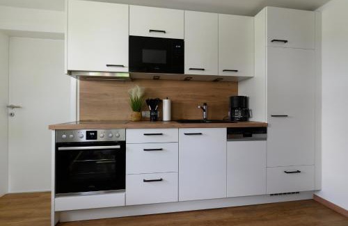 Altaussee Apartment | Ferienwohnung Werner Pucher EG