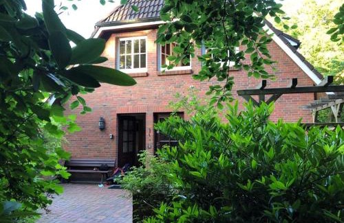 Nebel Apartment | Ferienwohnung Westerheide