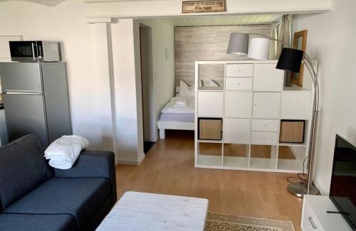 Neuastenberg Apartment | Ferienwohnung Winterberg Lodge