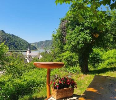 Kestert Apartment | Ferienwohnung zum Rheinblick