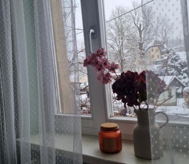 Lichtenhain Apartment | Ferienwohnung zur Linde