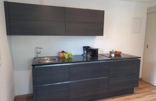 Gmunden Apartment | Ferienwohnungen Brunmayr