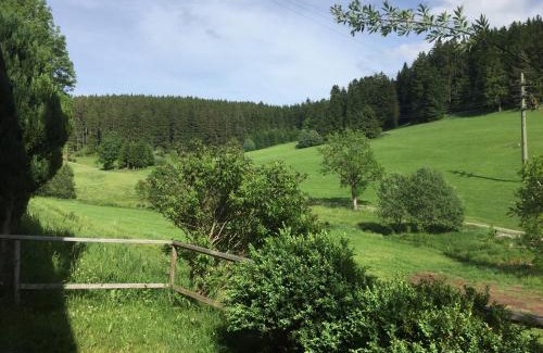 Schwarzenbach Apartment | Ferienwohnungen Hasenhof