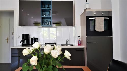 Altstadt Apartment | Ferienwohnungen Hankenstraße