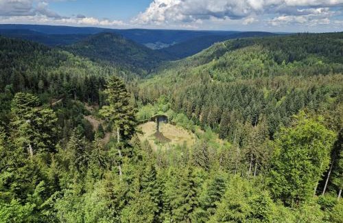 Freudenstadt Apartment | Ferienwohnungen Nordschwarzwald