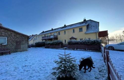 Schaprode Apartment | Ferienwohnungen Rügen mit Hund