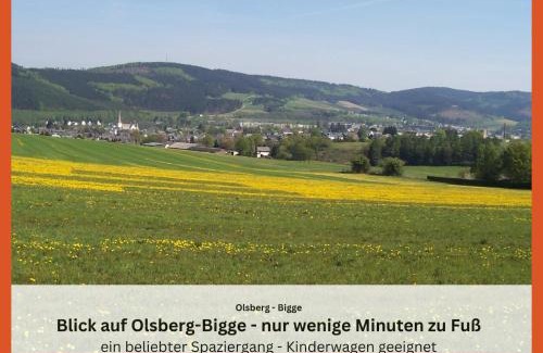 Olsberg Apartment | Ferienwohnungen Sauerland und Olsberg