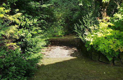 Wildemann Apartment | Ferienwohnungen Waldblick, Wohnung 1