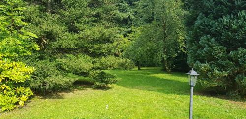 Wildemann Apartment | Ferienwohnungen-Waldblick-Wohnung-2