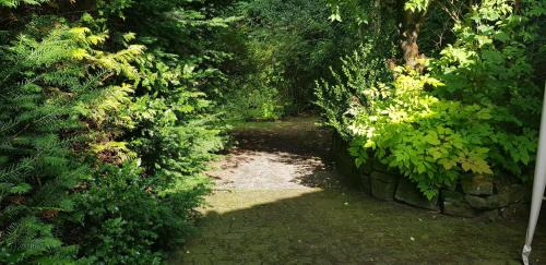 Wildemann Apartment | Ferienwohnungen-Waldblick-Wohnung-1