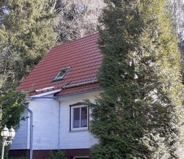 Wildemann Apartment | Ferienwohnungen-Waldblick-Wohnung-1