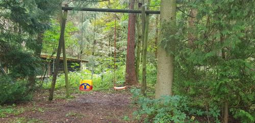 Wildemann Apartment | Ferienwohnungen-Waldblick-Wohnung-1