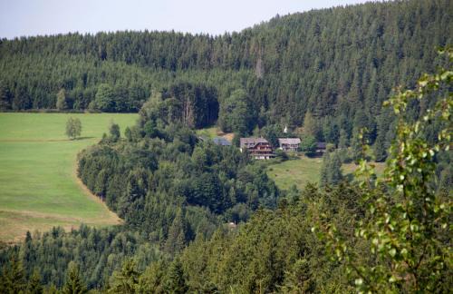 Triberg im Schwarzwald Apartment | Ferienwohungen Gibbesbachhof