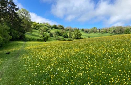 Batheaston House | Fern Cottage Coach House