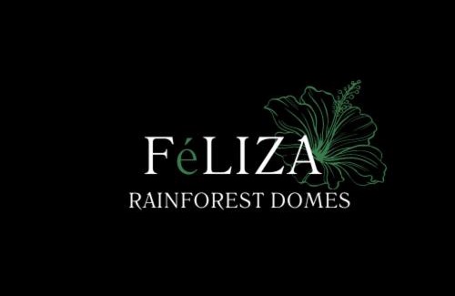 Monteverde Other | FERNANDA Dome at FéLIZA Rainforest Domes