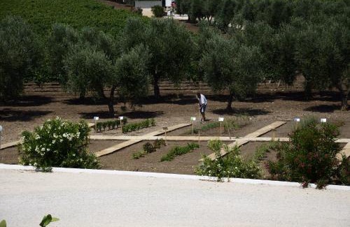 Carosino Apartment | Feudo Croce