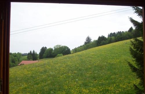 Missen-Wilhams Apartment | Fewo am Skihang/Bergwiese