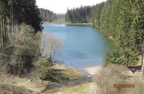 Bockswiese Apartment | Fewo Am Wald 5