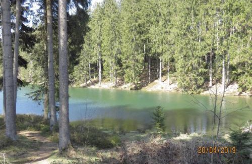 Bockswiese Apartment | Fewo Am Wald 5