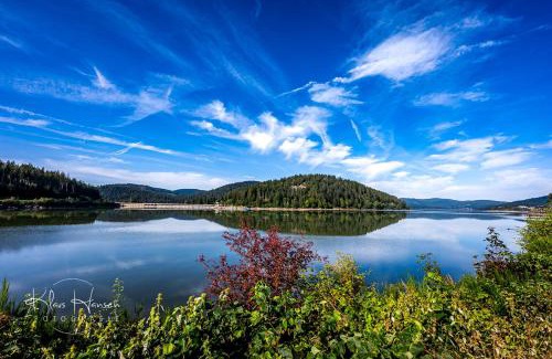 Schluchsee Apartment | Fewo Blumbach Nr 2, Schluchsee, Feldberg