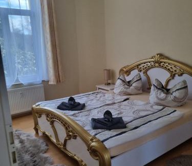 Bad Elster Apartment | FeWo Fürst Metternich, Bad Elster