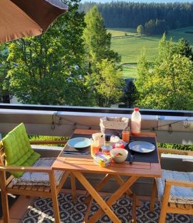 Schoenwald Apartment | FeWo Gretel Schönwald
