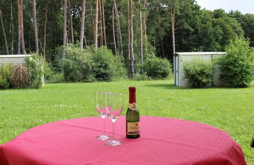 Gelbensande Apartment | * FEWO in the coastal forest - * FEWO in the coastal forest EG 3 Kittendorf/- GM 69470