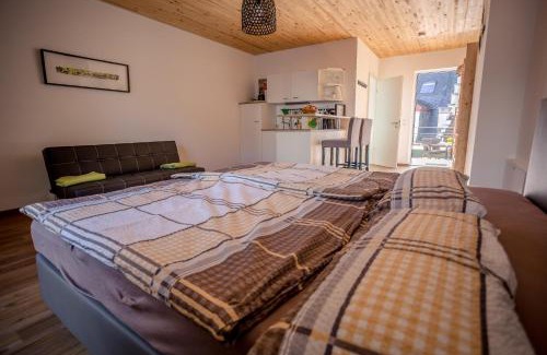 Mainz-Bingen Apartment | FeWo Kabine 11/Terrasse/Innenstadt