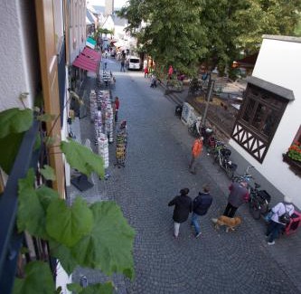 Mainz-Bingen Apartment | FeWo Kabine 11/Terrasse/Innenstadt