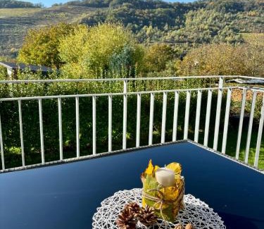 Zeltingen-Rachtig Apartment | FEWO Klosterblick sowie Weinberge & Drachenflieger