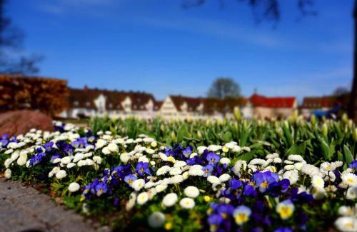 Freudenstadt Apartment | Fewo Schwarzwaldfreude