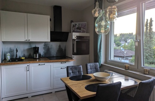 Bockswiese Apartment | FeWo Waldseeblick directly on the Liebesbankweg and Oberharzer Wasserregal